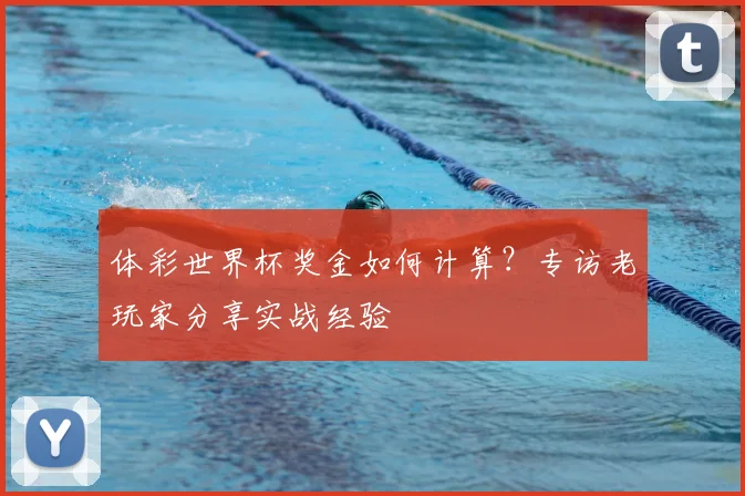 体彩世界杯奖金如何计算？专访老玩家分享实战经验