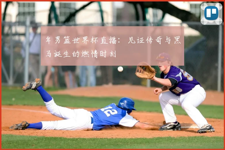 年男篮世界杯直播：见证传奇与黑马诞生的燃情时刻