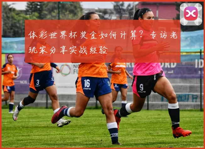 体彩世界杯奖金如何计算？专访老玩家分享实战经验