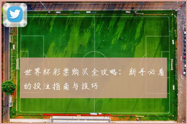 世界杯彩票购买全攻略：新手必看的投注指南与技巧
