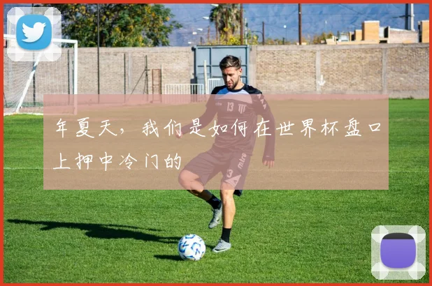 年夏天，我们是如何在世界杯盘口上押中冷门的