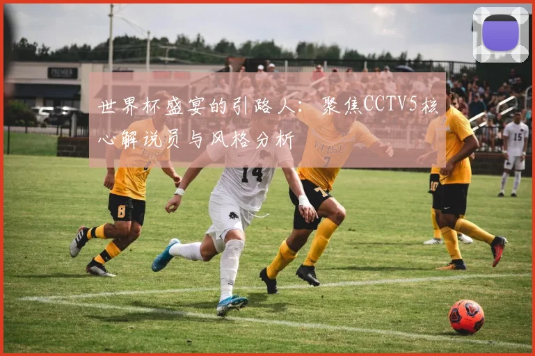 世界杯盛宴的引路人：聚焦CCTV5核心解说员与风格分析