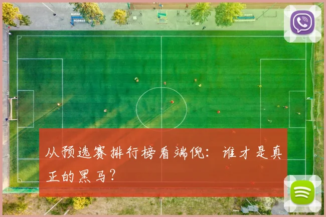从预选赛排行榜看端倪：谁才是真正的黑马？